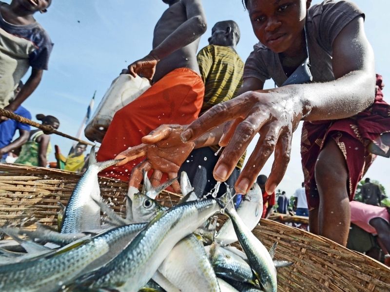 Afrika'da Balık Avı