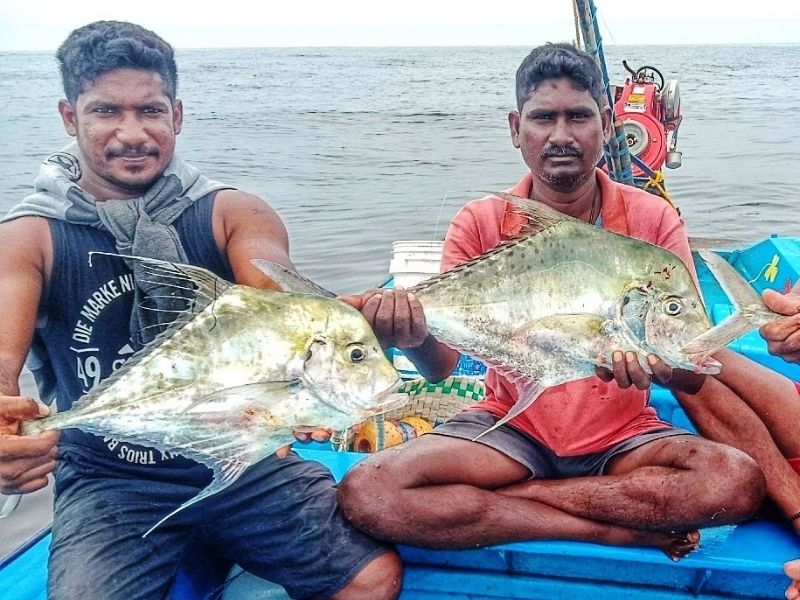 Hindistan'da Balık Avı
