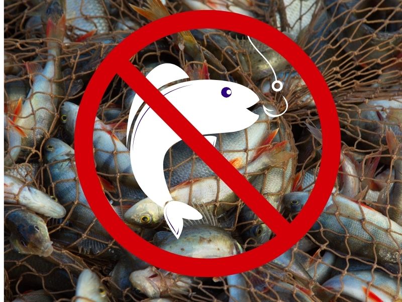 Türkiye'de Balık Avı Yasakları